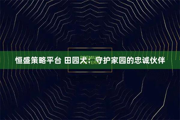 恒盛策略平台 田园犬：守护家园的忠诚伙伴