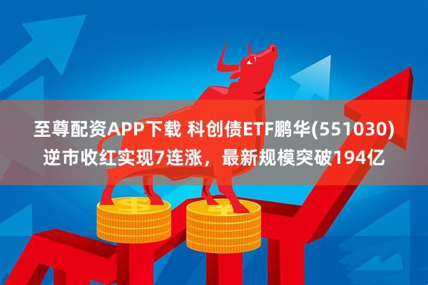 至尊配资APP下载 科创债ETF鹏华(551030)逆市收红实现7连涨，最新规模突破194亿